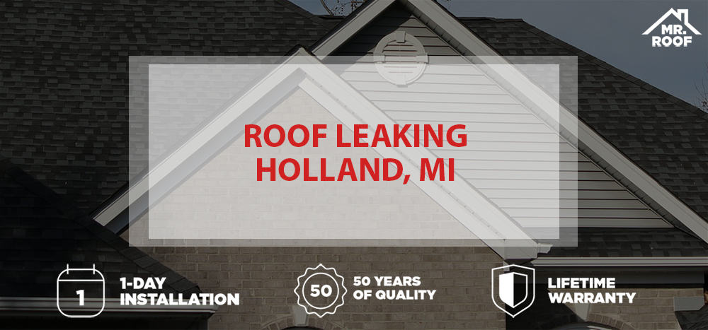 Roof Leaking Holland, MI