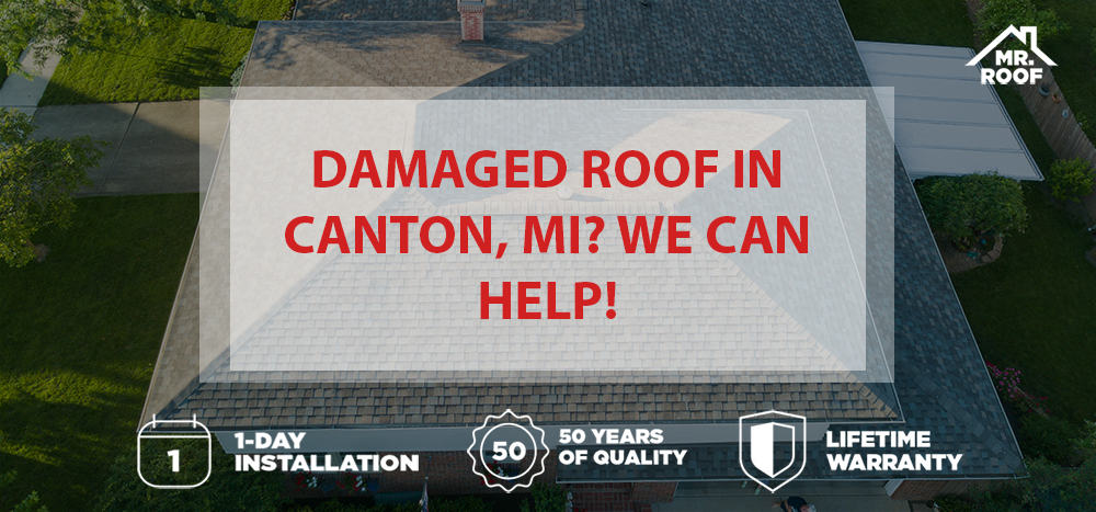 Roof Repair Cantin, MI