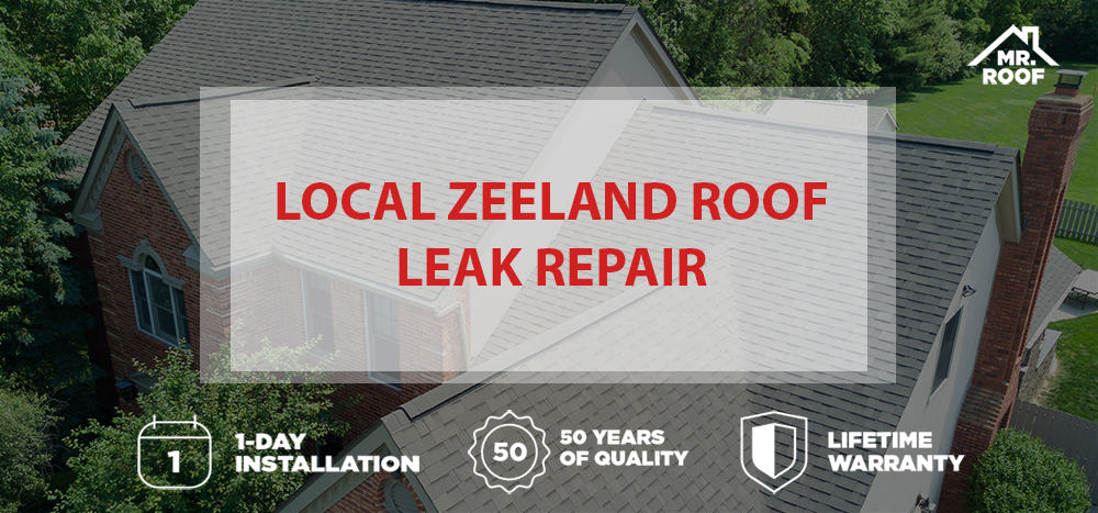 Zeeland roof leak repair