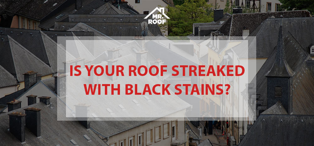 Black Stains on Roof