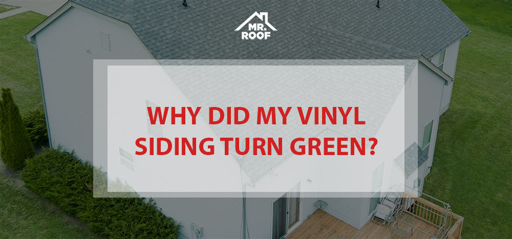 Green Vinyl Siding. What does it mean?