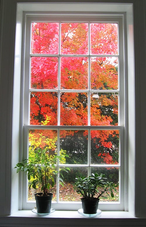 Fall window replacement