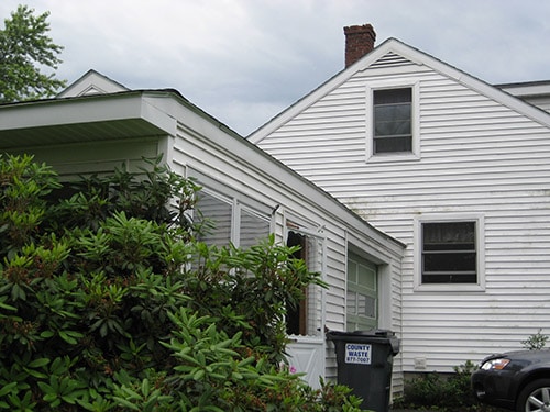 What is the Green Stuff on Siding?