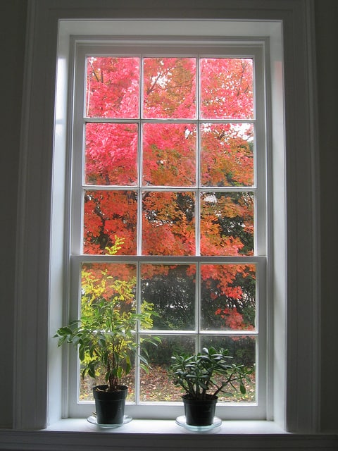 Get new windows this Fall by Mr. Roof