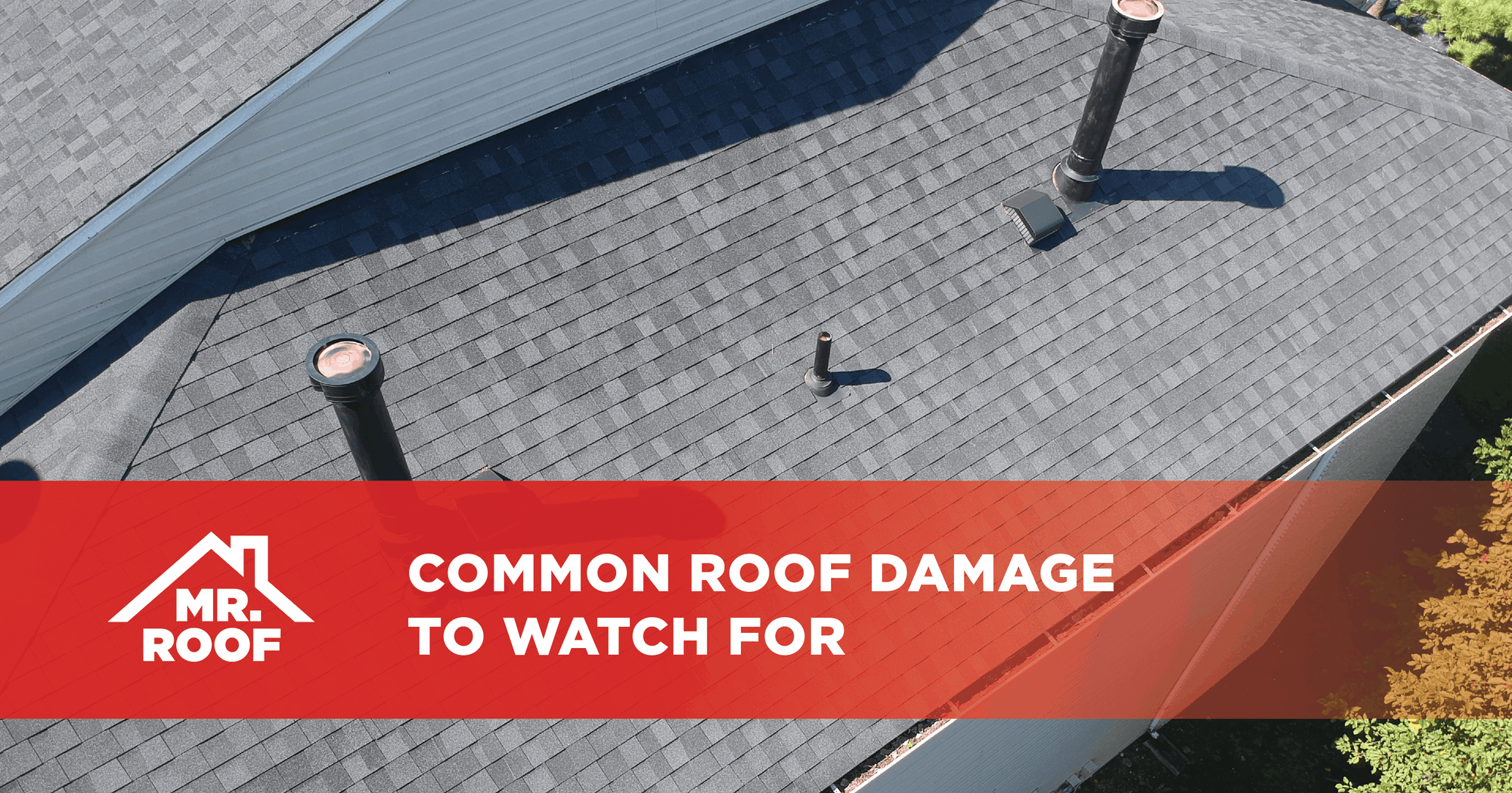 Common roof damage to watch for