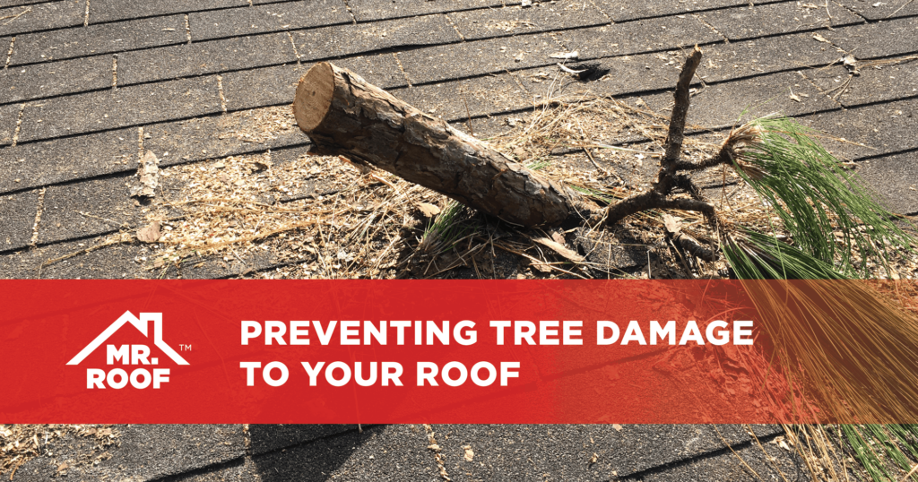 Preventing Tree Damage to Your Roof