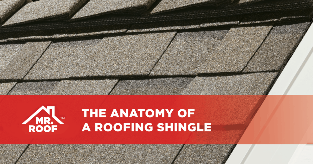 The Anatomy of a roofing shingle