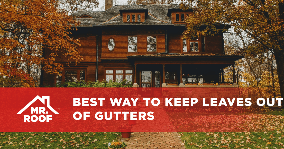 Best Way to Keep Leaves Out of Gutters