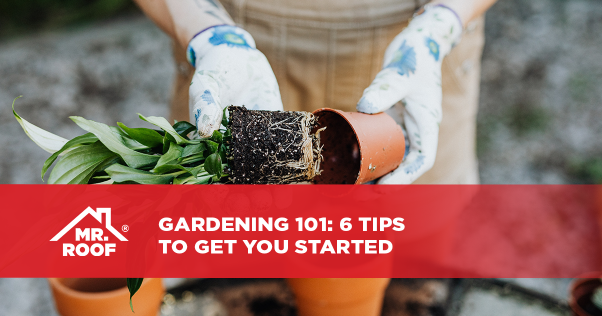 Gardening 101: 6 Tips to Get You Started