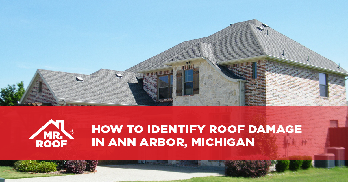 How To Identify Roof Damage in Ann Arbor, Michigan