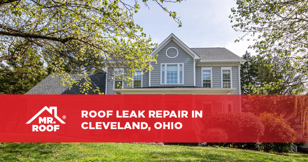 Roof Leak Repair In Cleveland, Ohio