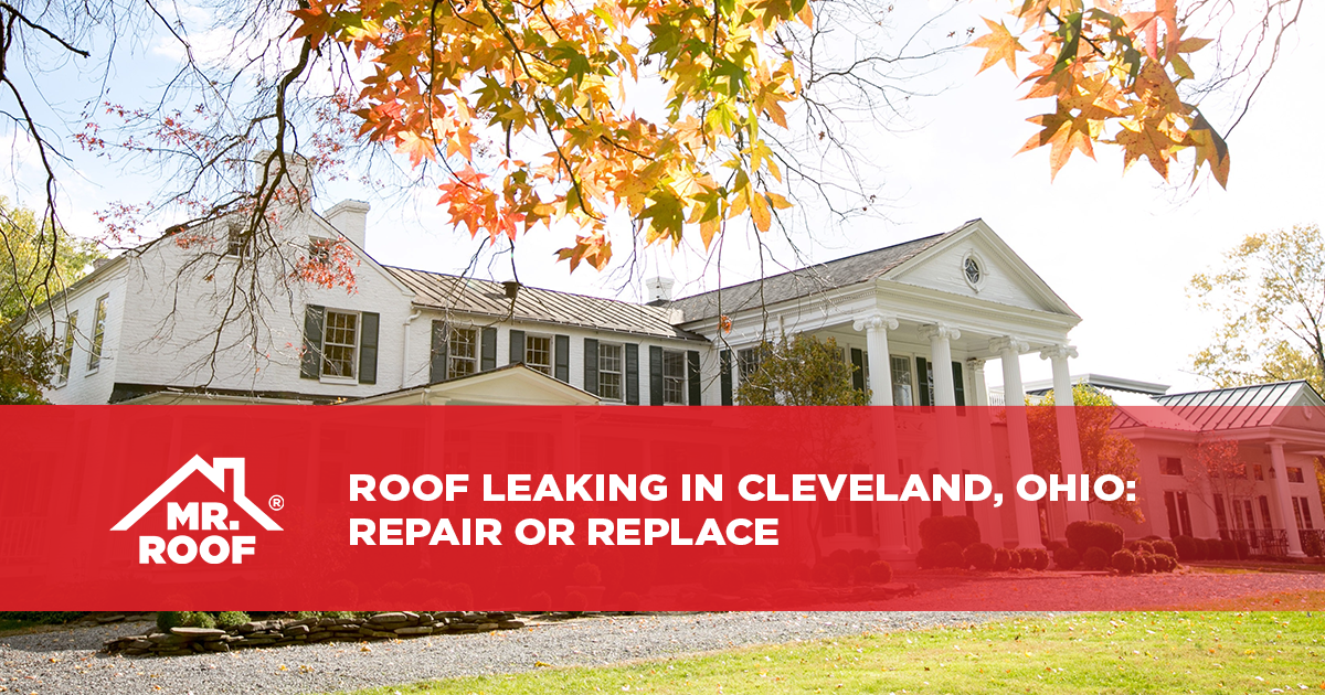 Roof Leaking In Cleveland, Ohio: Repair or Replace