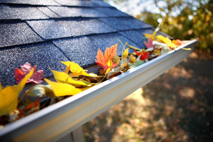 Gutter Guard Installers Near You.