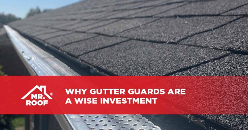 Why Gutter Guards Are a Wise Investment