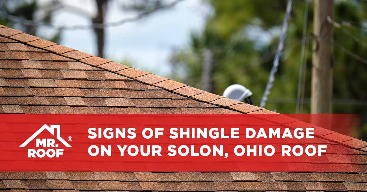 Signs of Shingle Damage On Your Solon, Ohio Roof