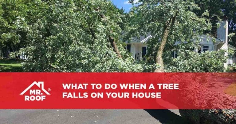 What to Do When a Tree Falls on Your House - Mr. Roof
