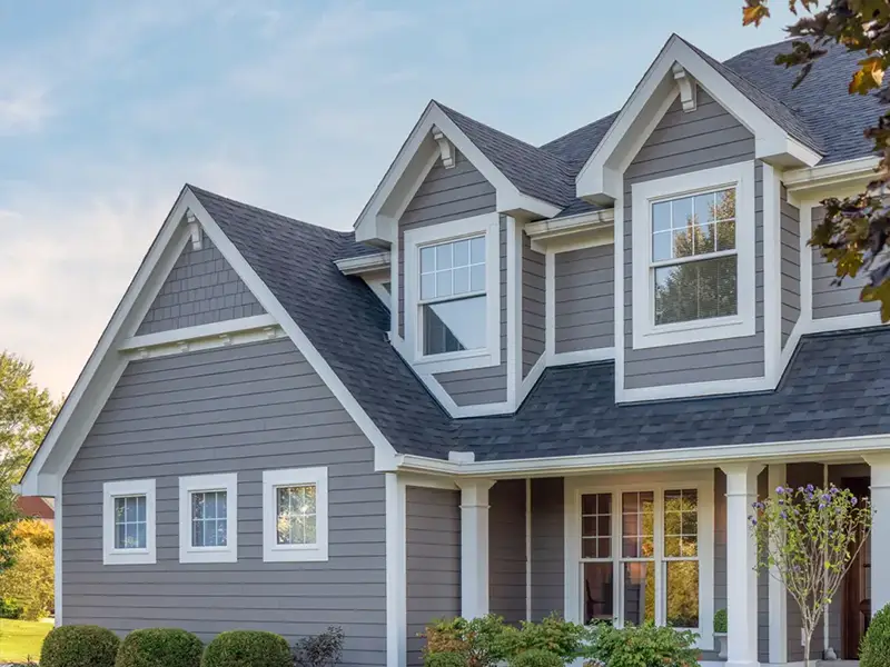 statement collection